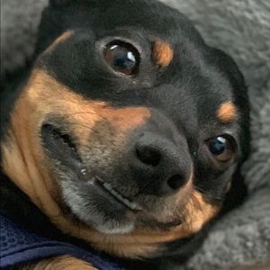 Meet your Posher, Shawn